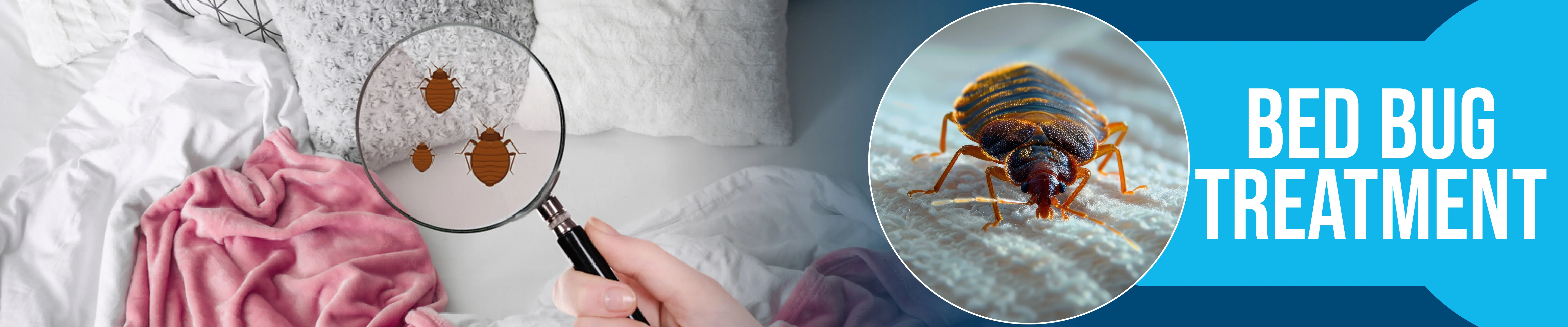 carpet cleaning in manhattan, carpet cleaning manhattan, carpet cleaners in manhattan, carpet cleaners in manhattan, commercial carpet cleaning, commercial carpet cleaning in manhattan, manhattan rug cleaners, rug cleaning services in manhattan, same day carpet cleaning, same day rug cleaning in manhattan